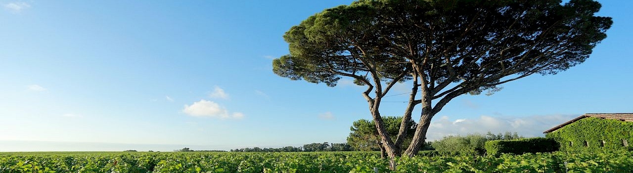 Responsabilità Sociale | CA Leasing Responsabilità Sociale | CA Leasing